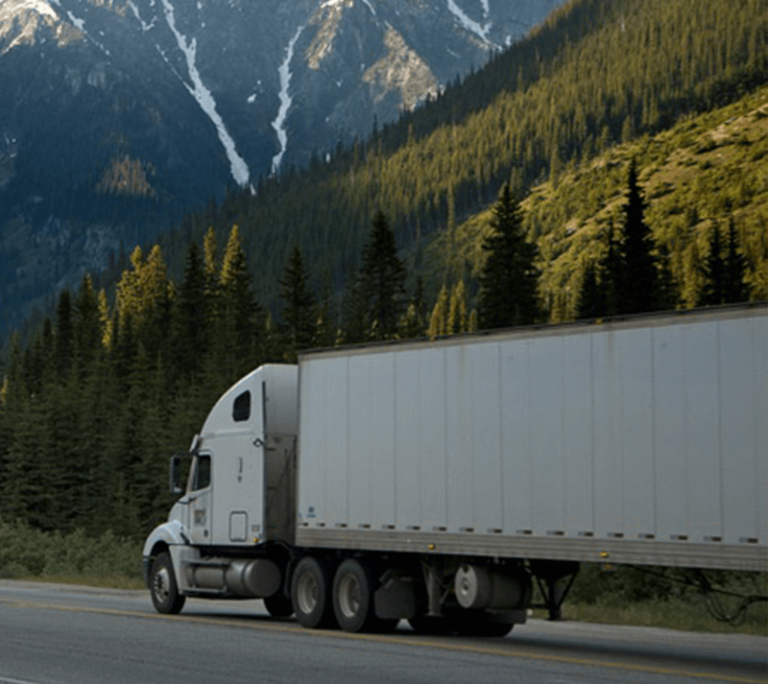 À propos de Alliance Transport France